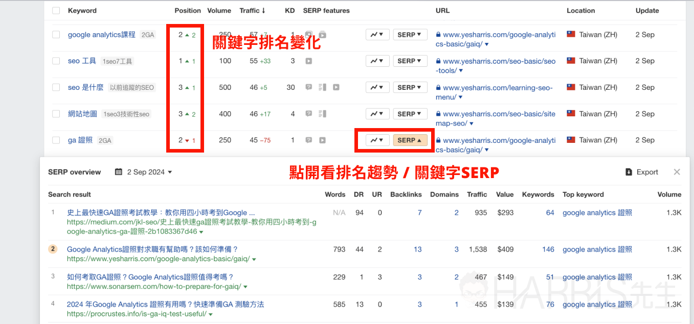 seo ranking 6